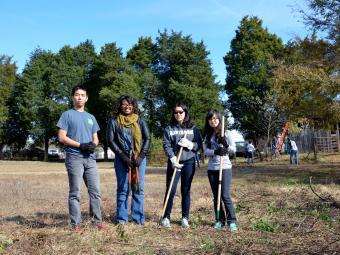 Students in a field doing  service